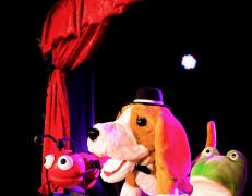 Les històries d’en Tilikum - ELS PANGOLINETS